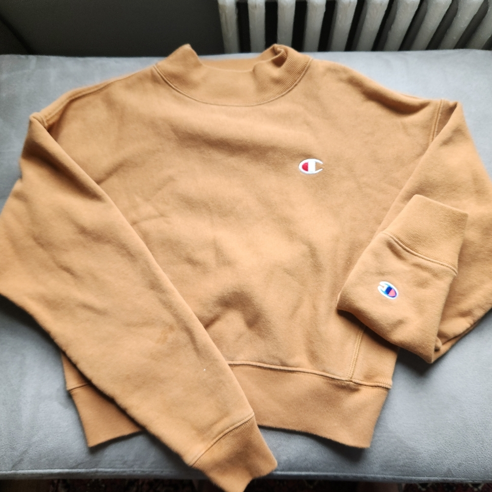 Champion Sweater